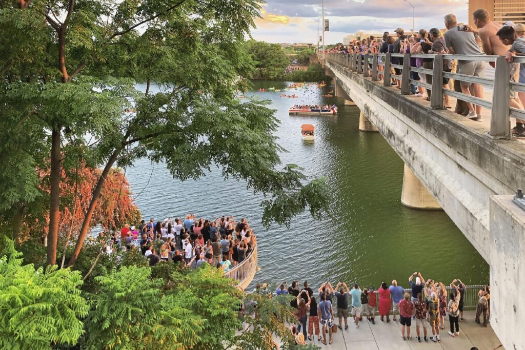 Bat Viewing Congress Bridge Credit Bento Box Photos Visit Austin edited