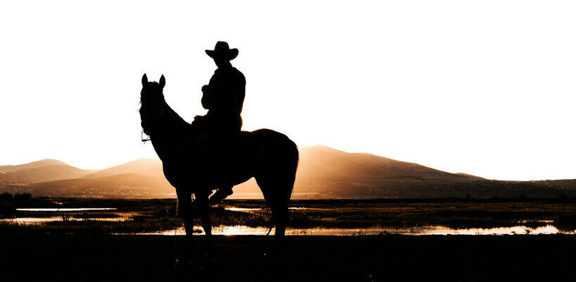 Texas horse silhoette Image by Ahmed on Unsplash e1789431806104 edited