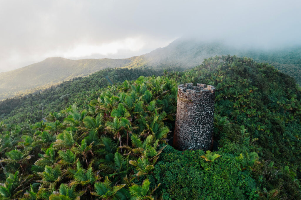 el yunque national forest 3 credit discover puerto rico result