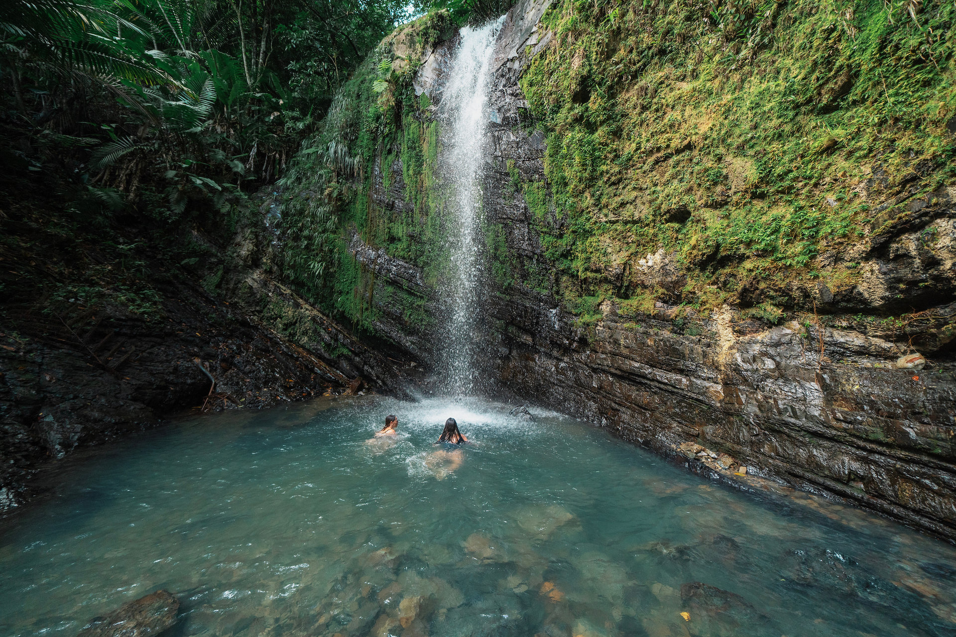 el yunque national forest 4 credit discover puerto rico result