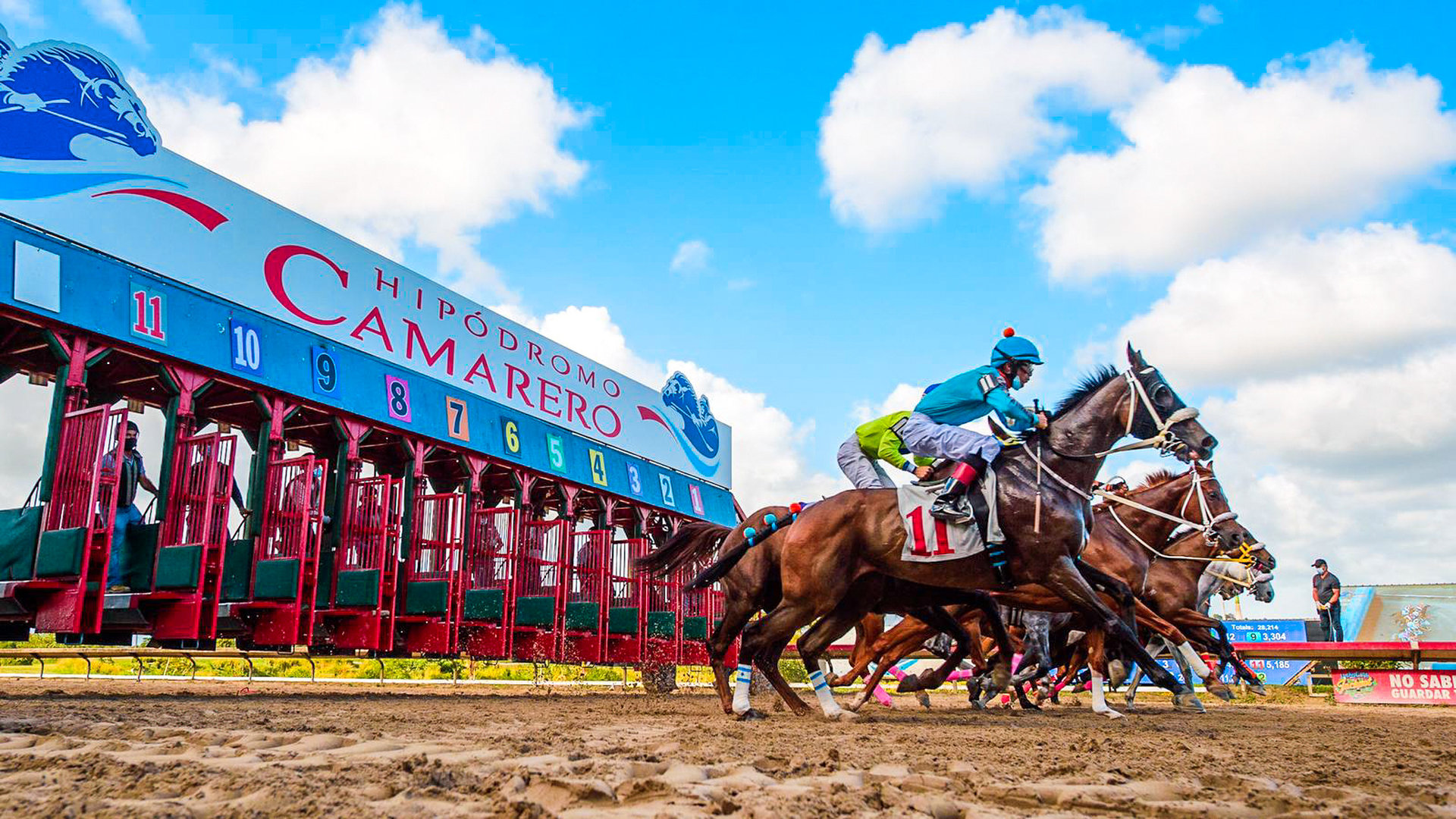 hipodromo camarero horse racing credit discover puerto rico result
