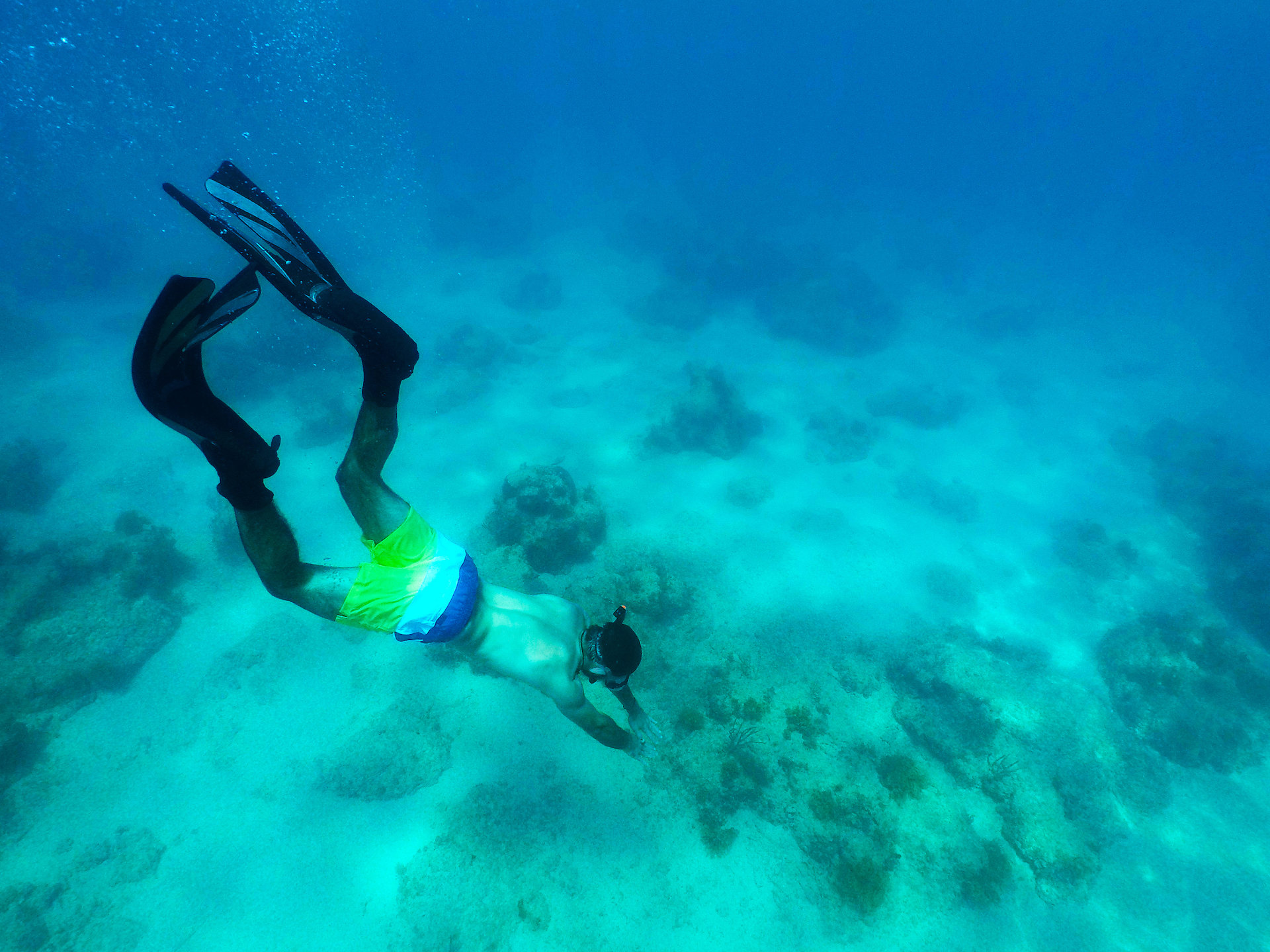 snorkelling photo credit omar reyes discover puerto rico result